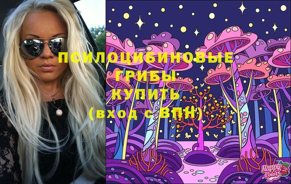 круглые Нягань