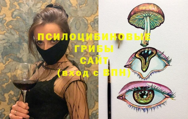 тгк Няндома