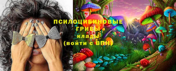 круглые Нягань