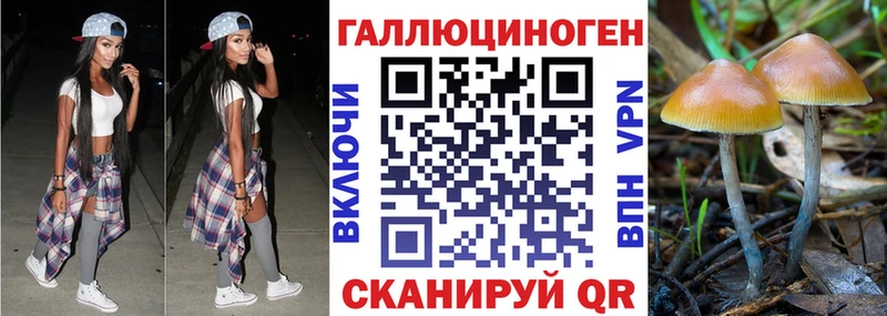 ОМГ ОМГ маркетплейс  купить закладку  Севастополь  Галлюциногенные грибы Psilocybe 