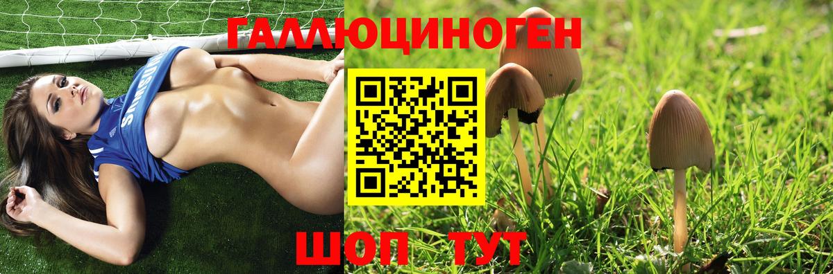 Псилоцибиновые грибы мицелий Севастополь
